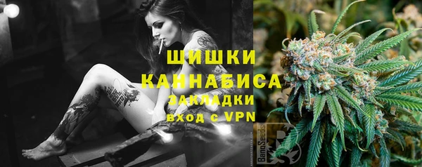 гидра Алексеевка