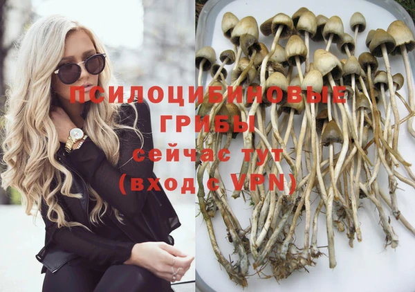спиды Алзамай